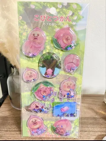 코비토즈칸 캡슐씰 바스락씰 쿠리아 구하기 어려움