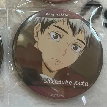 키타 신스케 복권 캔뱃지