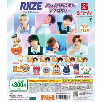 RIIZE 통통 메지루시 액세서리 전 12종 세트