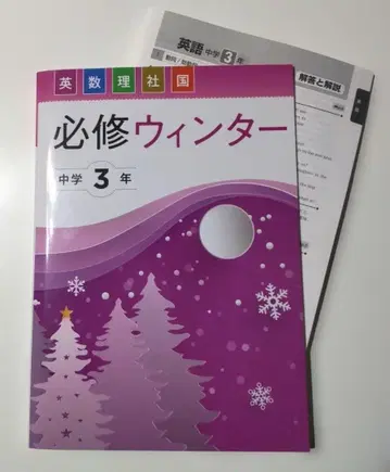 당일 발송 필수 겨울 중학교 3학년 겨울 학기 텍스트 겨울 방학