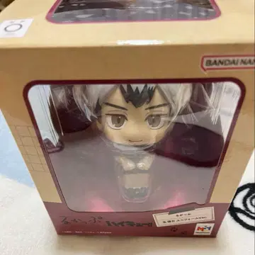 키타 신스케 룩업