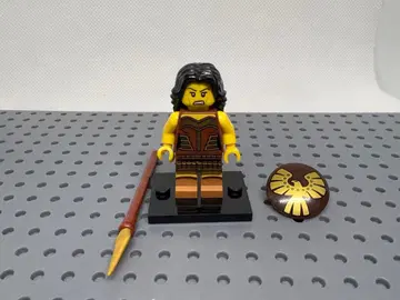 레고 LEGO 정품 여자 전사 시리즈 10