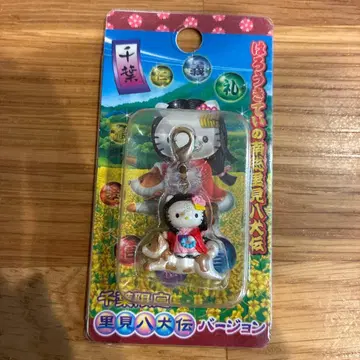 지역 한정 키티 치바 사토미 핫켄덴 지퍼 타입