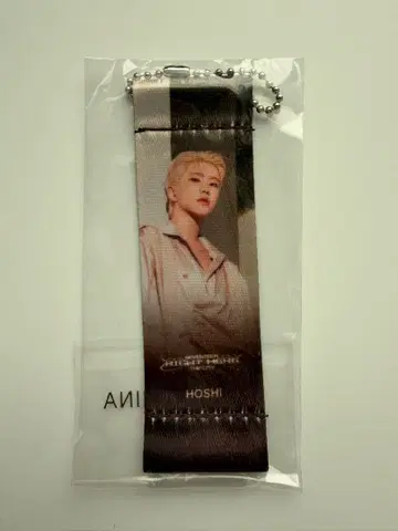 SEVENTEEN 라이트 히어 HOSHI 플래그 키링