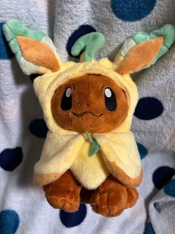 이브이 판초 리프아 포켓몬 센터