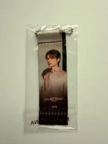 SEVENTEEN 라이트 히어 JUN 프린트 키링