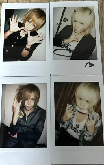 R 지정 마모 폴라로이드