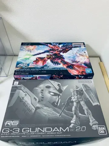 RG G3 건담 ver.3.0 / HG 게르그그메나스 2개 세트