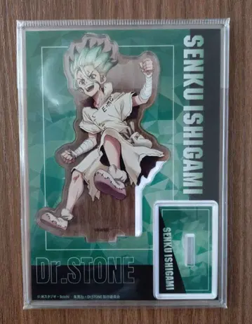 Dr.STONE 아크릴 스탠드