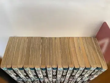 D.Gray-man 1~19권 세트 (전권 포함 아님)