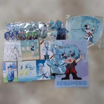 멜론 파커 소라네코