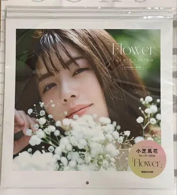 코시바 후카 2026 달력 Flower 3권 엽서 포함 새상품 미개봉