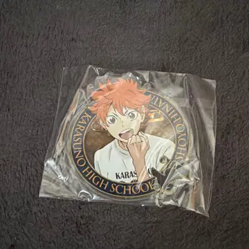 하이큐 아크릴 배지 히나타