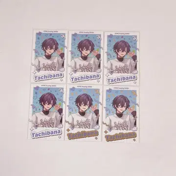 스니스트 타치바나 군 포토 카드