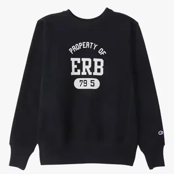 챔피온 리버스 위브 C3-A022 XXL