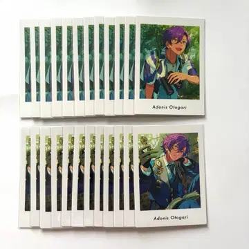 앙스타 오토카리 아도니스 파샤츠 vol.6