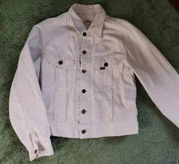 리 웨이터너 자켓 구제 의류