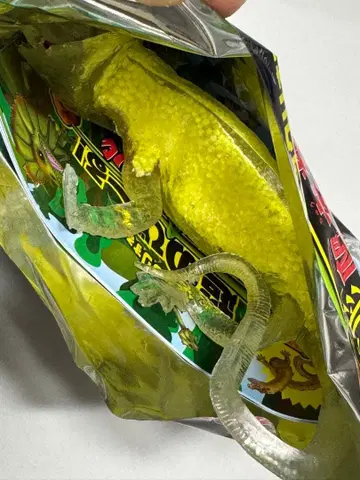 파충류 리얼 변형 도마뱀 & 악어 목도리도마뱀