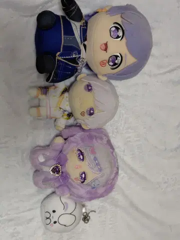 이레이스 쇼토 봉제 인형