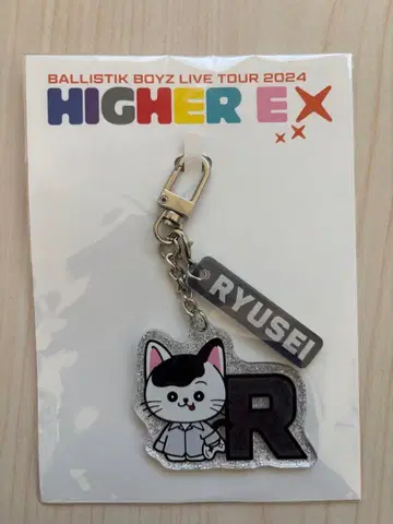 카이누마 류세이 류세냥 키링 BALLISTIKBOYZ