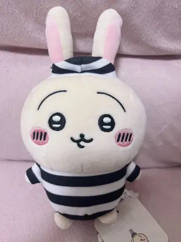치이카와 (먼작귀) 뽀떼따마 봉제 인형 토끼 죄수