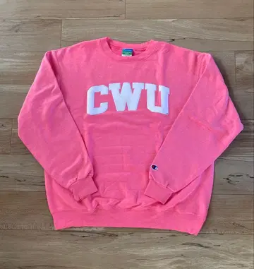 챔피온 맨투맨 트레이닝복 희귀 레어