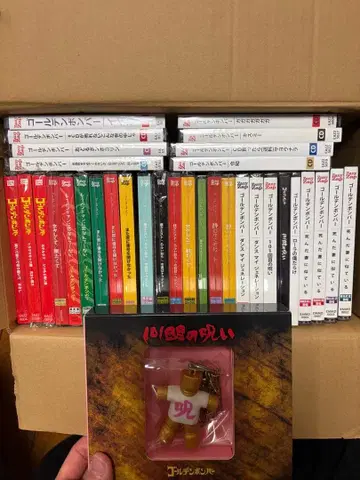 골든 폭격기 싱글 묶음 판매