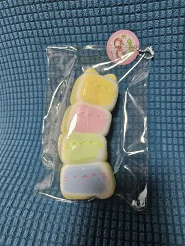 스퀴즈 고양이 4연 수감