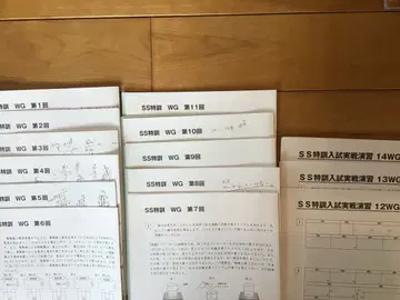 사피 SS 특훈 이과 WG 와세다 와세다실고 결번 없음 2025년 수험