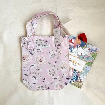 [택 포함 새상품] 캐스키드슨 스몰 북백