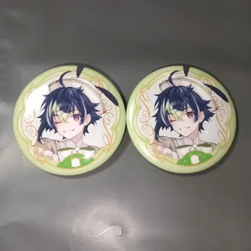 이즈미 라이 세트 등신