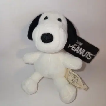 스누피 푸치후와 마스코트 playing Teddy