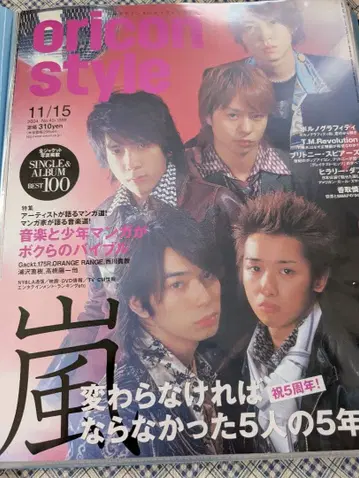 아이바 마사키 아라시 키리누키 2004년-2011년경