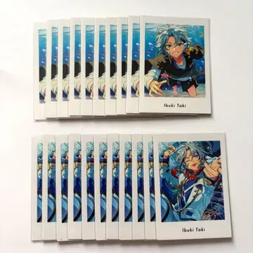 앙스타 타키 이부키 파샤츠 vol.6