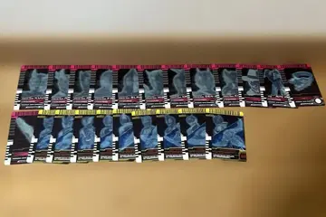 라이더 파이널 폼 라이드 카드/블랭크/CSM 디케이드 드라이버 부속물