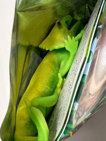 파충류 리얼 변형 도마뱀 & 악어 엘리마키 도마뱀