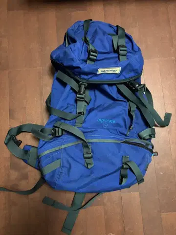 알파인스타 alpiniste 백팩 파랑