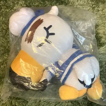 모동숲 제일복권 조니