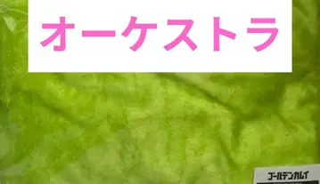 골든 카무이 오케스트라 담요 군악대 타니가키