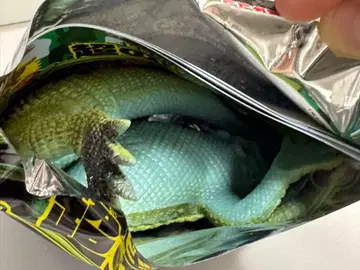 파충류 리얼 변형 도마뱀 & 악어 코모도왕도마뱀