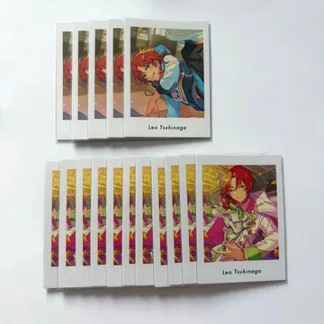 앙스타 츠키나가 레오 파샤츠 vol.6