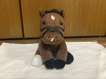 아이돌 호스 Selection 그랑 알레그리 M 사이즈 중고