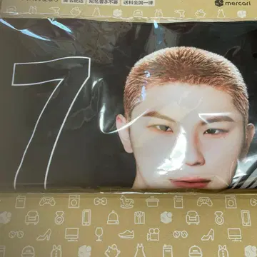 SEVENTEEN WOOZI 미니 사진 담요