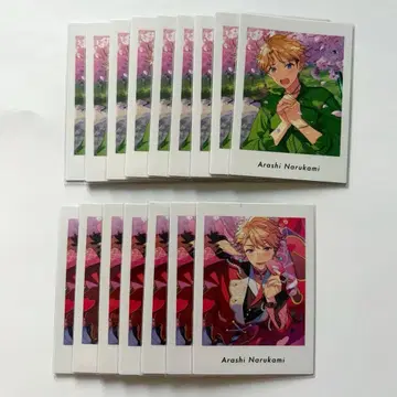 앙스타 나루카미 아라시 파샤츠 vol.6