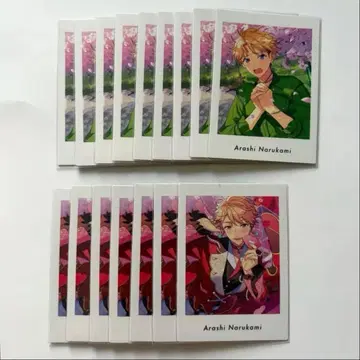 앙스타 나루카미 아라시 파샤츠 vol.6