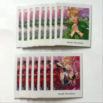 앙스타 나루카미 아라시 파샤츠 vol.6