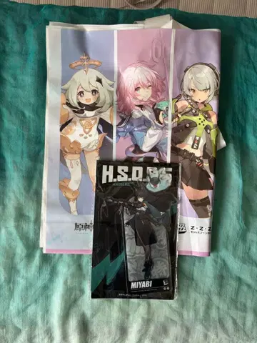 젠제로 젠레스존제로 호시미 미야비 미야비 아크릴 스탠드 특전 봉투 포함