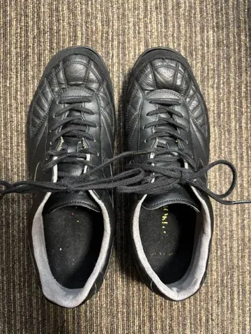 모렐리아 SALA JAPAN TF 25.5