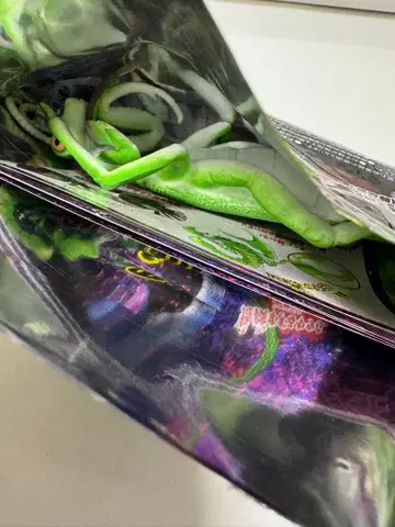 리얼 위험 생물 뱀 거미 전갈 사마귀 시크릿 레어