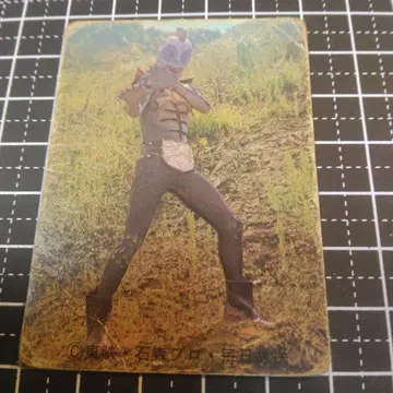 비라자우르스 캐릭터 카드 14